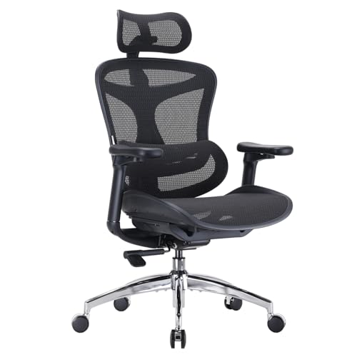 SIHOO Doro C300 Dynamic Lumbar Chair