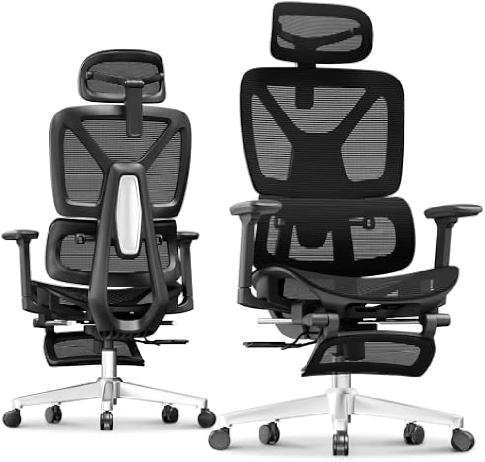 FLEXISPOT ErgoX Premium Ergonomic Office Chair